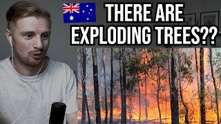 Reaction To 50 Wild Facts About Australia