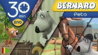 Bernard Bear  Pets  30 minutes