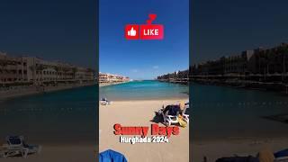 Отель Sunny Days palacio palma mirette Отдых в Егтпте зимой Хургада в феврале