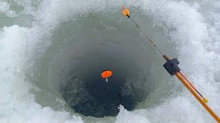ТОЛЬКО НАШЕЛ ТРОПУ КАРАСЯ как поплавок ПОТАЩИЛО. Рыбалка зимой со льда в 2024