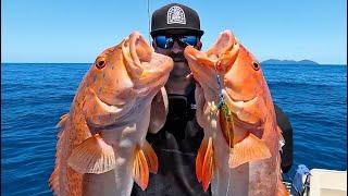 How To Catch BIG Coral Trout on Slow Pitch Jigs