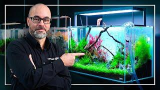 A Perfect Tutorial to Start Your FIRST Planted Aquarium