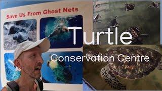 Turtle Conservation & Research Center Kosgada Sri Lanka 