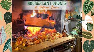 Houseplant Update & New Autumn Decor 