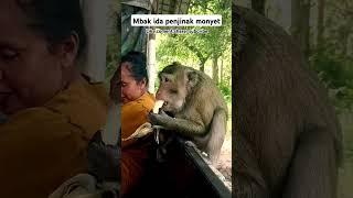 MAMA IDA PENJINAK KERA #kampungtengahhutan #monyet #monyetlucu #monyetviral #monyetpintar #desa