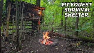 Bushcraft camping. Building a shelter for survival in the wild. Rescue from rain and wild animals.