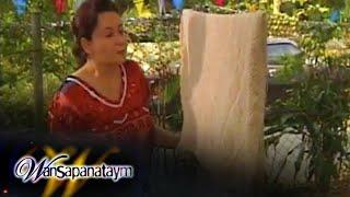 Wansapanataym Magic Mantel feat. Marita Zobel Full Episode 202  Jeepney TV