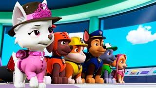 Patrulha Canina em Português Brasil Desenhos - Sky Chase Everest Salvam o Ryder l Nick Jr HD