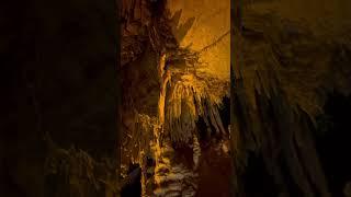 Mammoth Cave  Worlds Largest Cave System 🪨