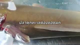 ห่อหมกปลาดุกทะเลโครตอร่อย