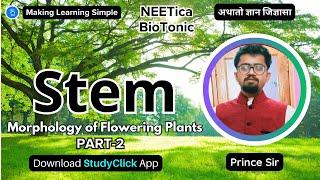 Stem  Morphology of Flowering Plants  Part-2