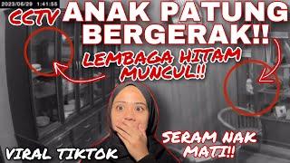 KECOH TIKTOK CCTV ANAK PATUNG GERAK‼️ & LEMBAGA HITAM MUNCUL  SERAM