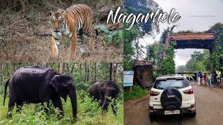 Nagarhole National Park  EcoSport Monsoon Drive In Forest