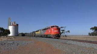 Victorian Railways Diesel Electric S Class Locomotive Mainline Action