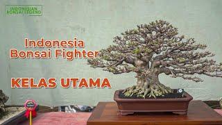 BONSAI KELAS UTAMA PAMNAS BONSAI IBF II JEPARA 2022