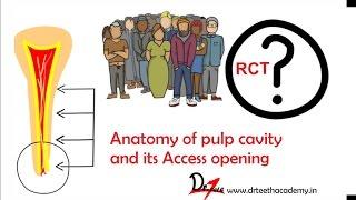 Anatomy of pulp cavity and its access opening