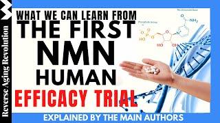 WHAT We Can Learn From the 1ST NMN HUMAN EFFICACY Trial  Explained By The Main Authors