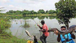 Big Fish Catching Video  River Monster Fish Catching  Village Fishing  Fishing