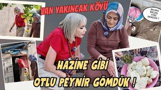 Vanda hazine gibi otlu peynir gömdük