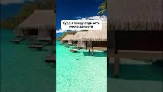 куда я поеду после декрета? #логопед #психология #логопедонлайн #дети