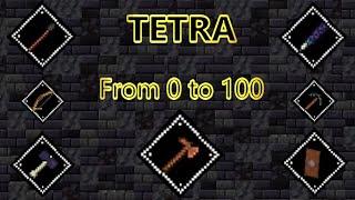 Tetra From 0 to 100 The Basics P1 Tutorial