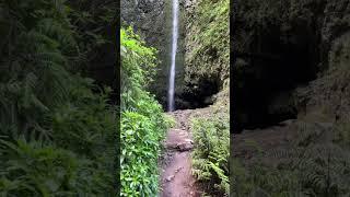 Another hike in Madeira leading along a levada and waterfalls through the lush forest…