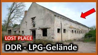 Ehemaliges LPG-Gelände – Wirklich ganz verlassen?