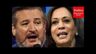 BREAKING Ted Cruz Hammers Kamala Harris In Senate Hearing