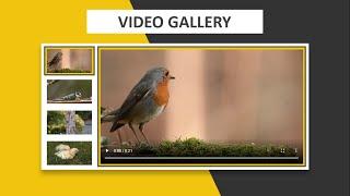 How To Make Video Gallery Using HTML CSS & JQUERY  Step By Step