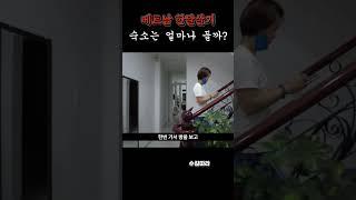 베트남 한달살기 숙소 가격은? #베트남 #세계여행