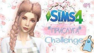 THE SIMS 4 Challenge - ПРИСЛУГА #1 ГДЕ КОТЁНОК?