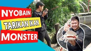 Mancing di Kolam Ikan Monster Dapat Sensasi Strike Yang Luar Biasa