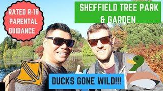 Exploring Sheffield Park & Garden - Uckfield East Sussex