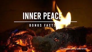 The Best Fireplace with Crackling Fire Sounds  Relaxing  Laser Focus  Deep Sleep  Bonus Fact