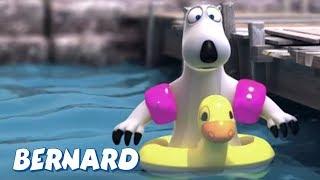 Bernard Bear  Sailing AND MORE  Cartoons for Children