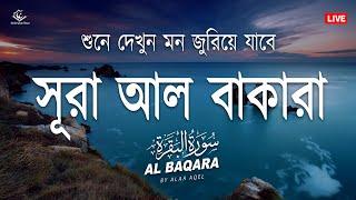 সূরা আল বাকারা - অত্যন্ত দরদী কন্ঠে তিলাওয়াত ২০২৪  BEST Surah Al Baqarah Recited by @alaaaqel54