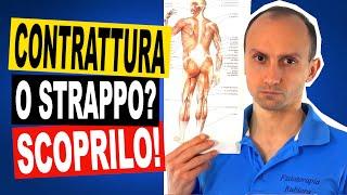 Contrattura o Strappo Muscolare? Quali Sono le Differenze?