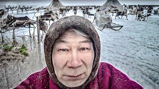 Life in tundra. The Far North. Yamal  Yasavey. The Nomad of the XXI century.