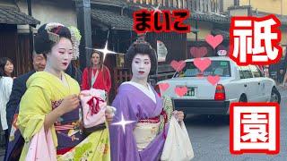 外国人観光客も見惚れる️美しい舞妓さんMaiko  Gion Japan