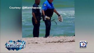 Viral video shows police finding brick of cocaine on Haulover Beach