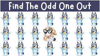 Find The Odd One Out Bluey & Friends