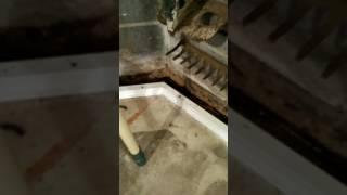 Basement waterproofing easy and inexpensive method