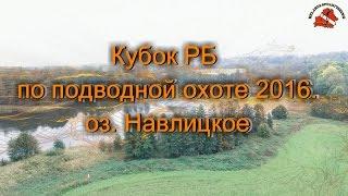 Кубок РБ по подводной охоте 2016.  оз.  Навлицкое.