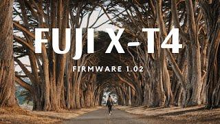 Fuji XT4  Firmware 1.02  Ambient Cinematic Roadtrip  Point Reyes CA  4K