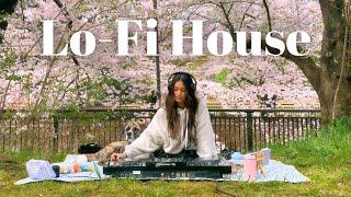 Relaxing Lo-Fi House Music Mix - Cherry Blossom Picnic Set in Tokyo