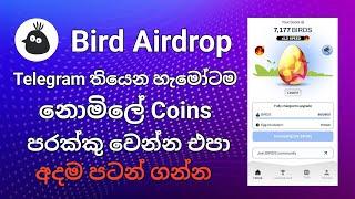 Bird Coin Airdrop  Telegram තියෙන හැමෝටම නොමිලේ Coins  Telegram New Airdrop