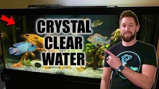 Crystal Clear Aquarium Water  Tips for Fixing a Cloudy Tank