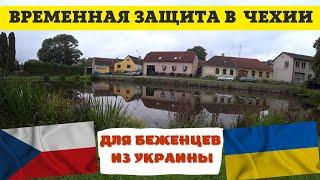 Как украинцам оформить временную защиту в Чехии? Виза жилье страховка  БЕЖЕНЦЫ ИЗ УКРАИНЫ В ЧЕХИИ