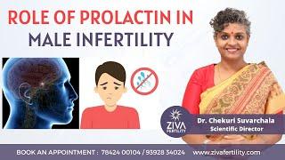 Role Of Prolactin In Male Infertility  Male Infertility  Dr Chekuri Suvarchala