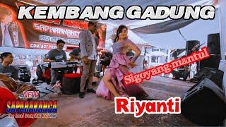 KEMBANG GADUNG SI GOYANG MANJAH  RIYANTI BAJIDOR VERSION NEW SAPARAKANCA#menksuling